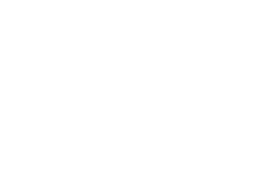 Viva Diego Logo
